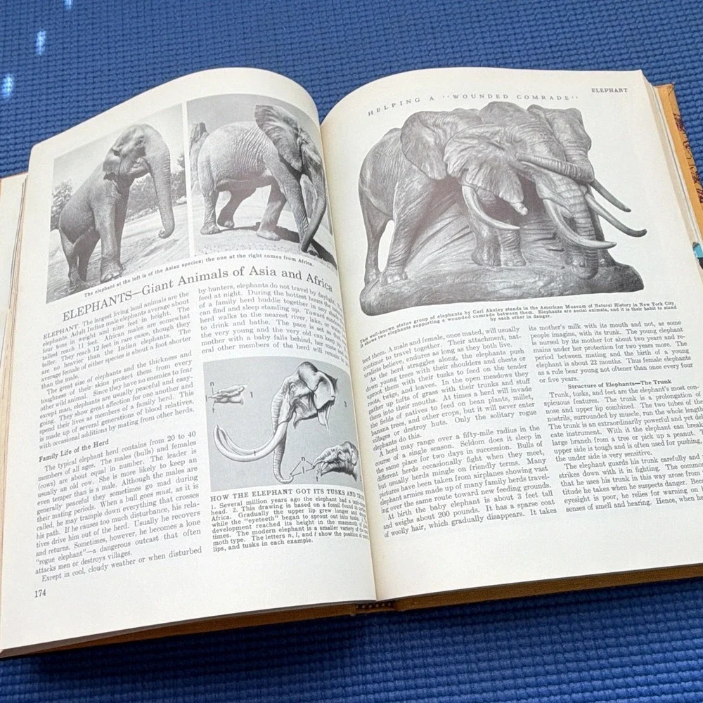 Hardcover Compton's Encyclopedia and Fact-Index Vol 7 E–Eye (1972) 370p